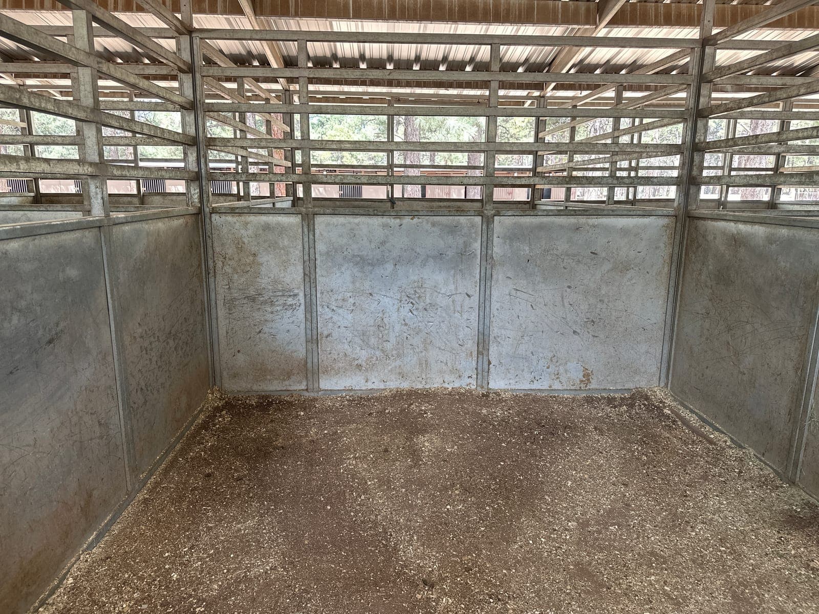 Inside one of the covered stalls, looking out through the slatted walls to the pines