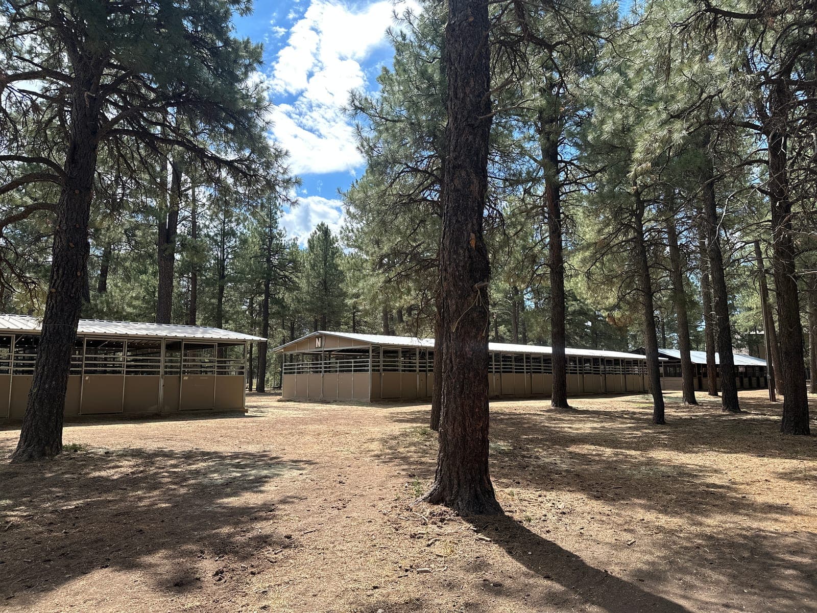 Several stall barns spread through the ponderosa pine forest at Fort Tuthill