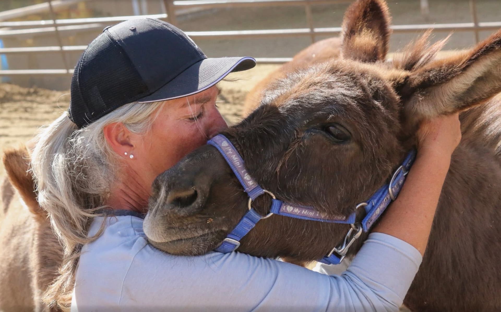 A caretaker embraces two rescued donkeys at Forever Home Donkey Rescue & Sanctuary