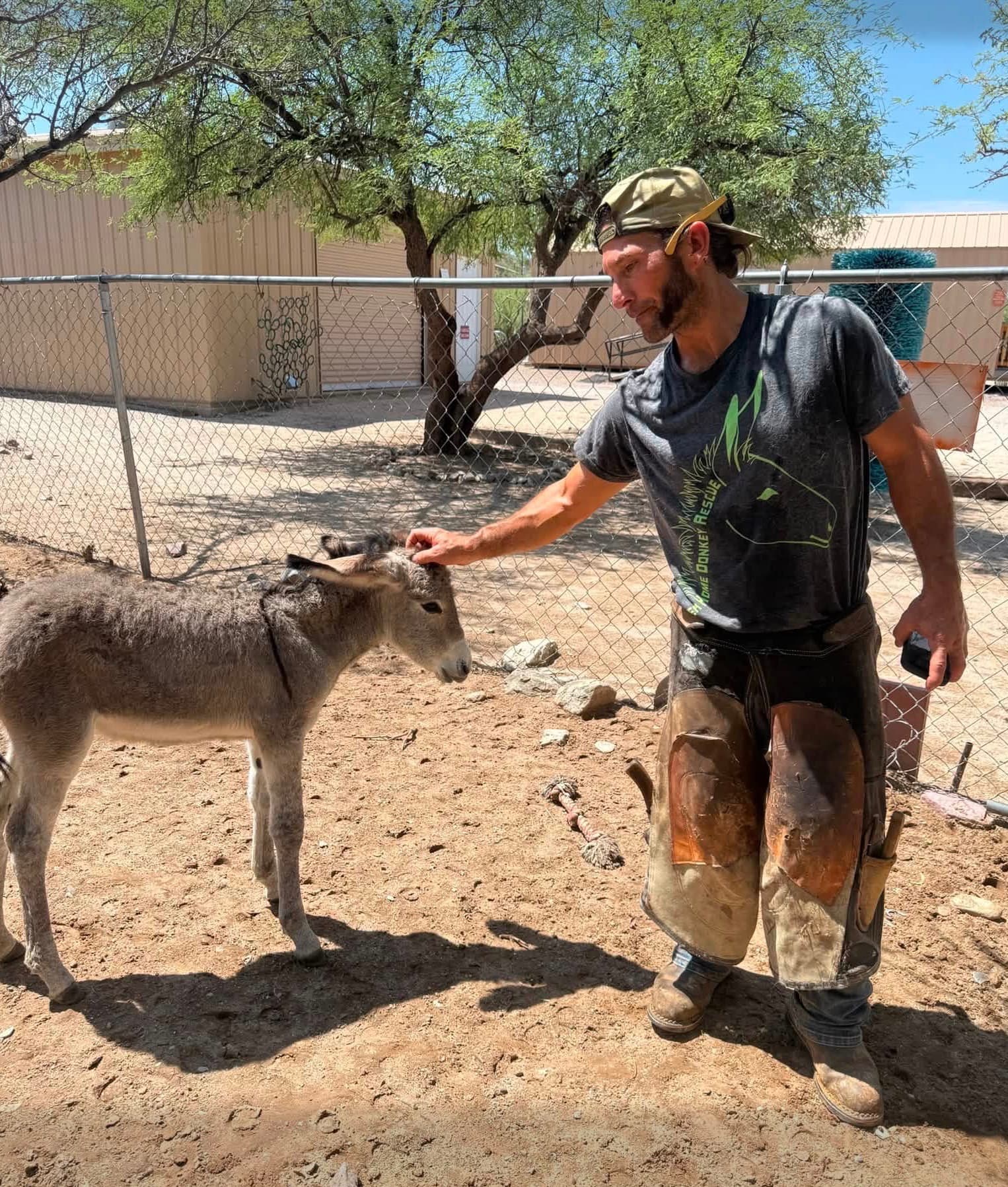 A farrier greets a young donkey at Forever Home Donkey Rescue & Sanctuary
